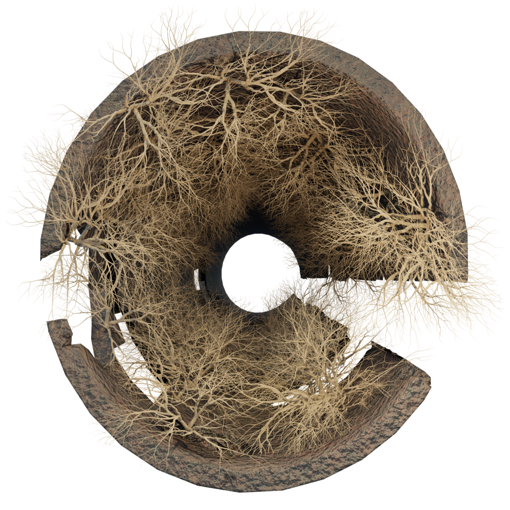 root-intrusion-in-pipe-before-clearing